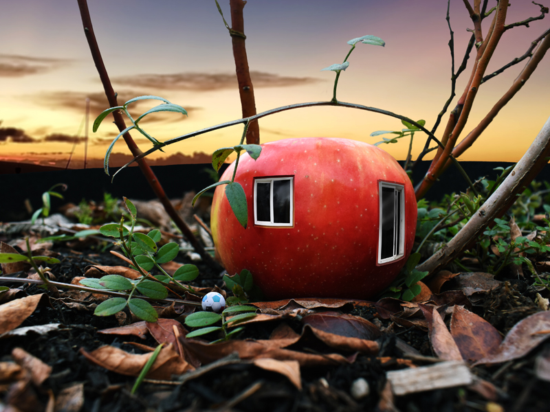 Apple House